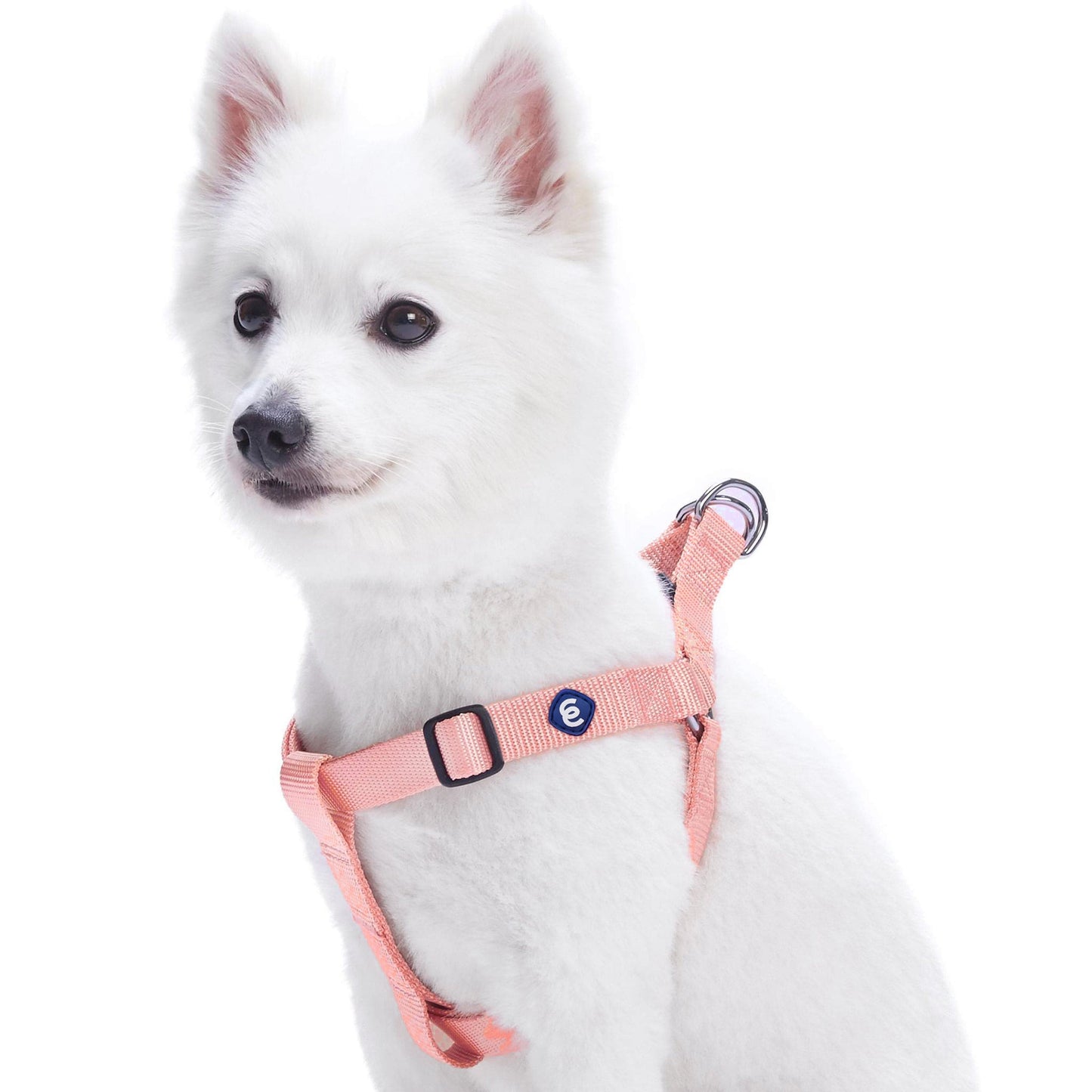 Classic Solid Color Adjustable Dog Harness, PinkRed