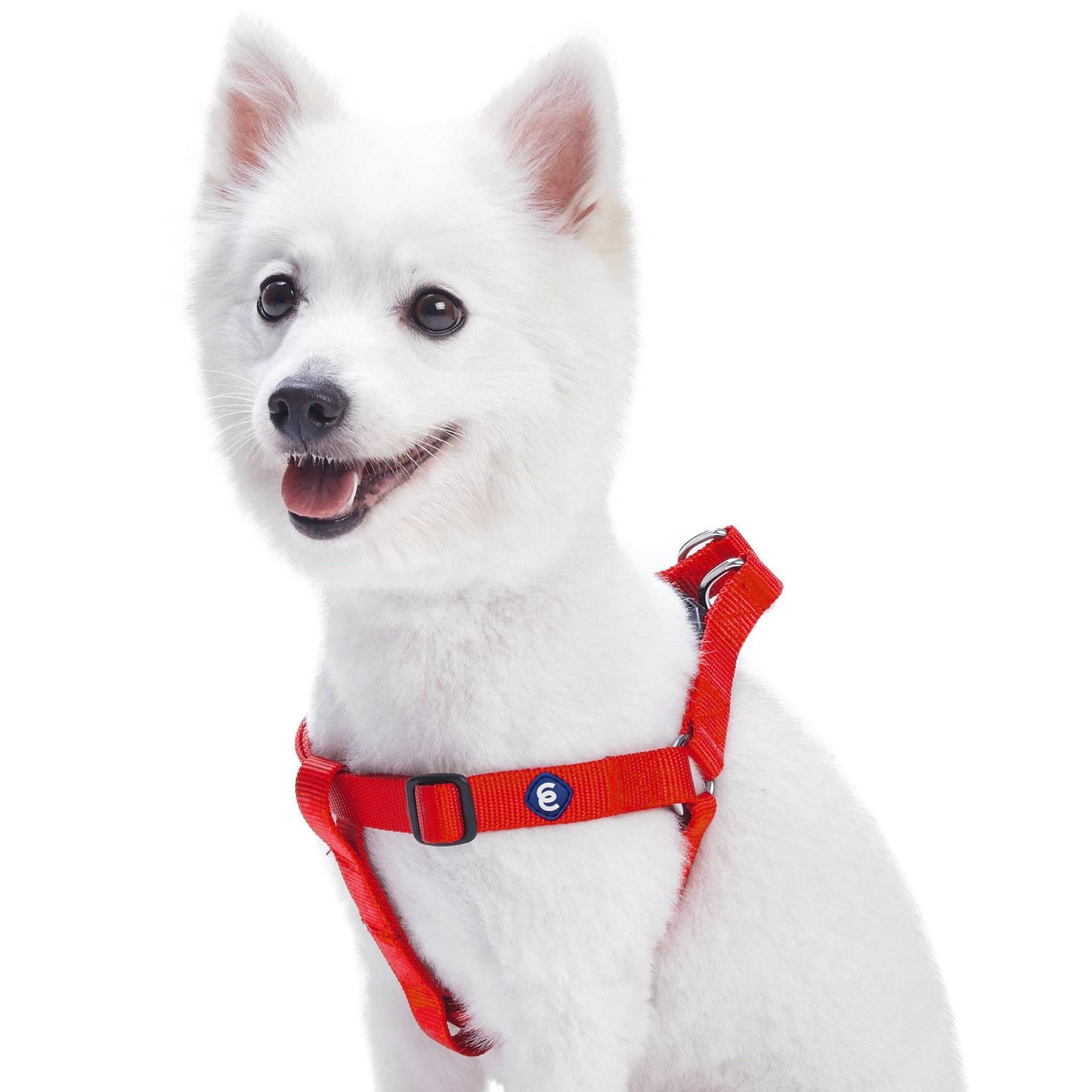 Classic Solid Color Adjustable Dog Harness, PinkRed
