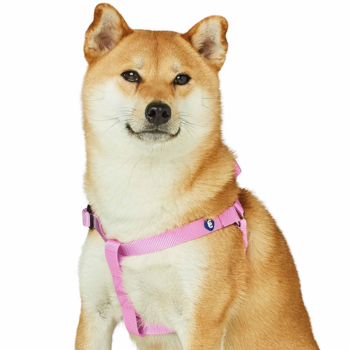 Classic Solid Color Adjustable Dog Harness, PinkRed