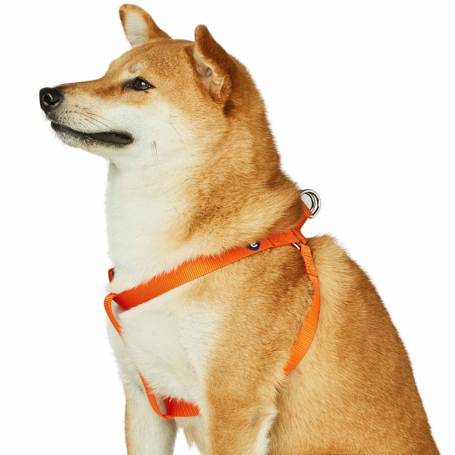 Classic Solid Color Adjustable Dog Harness, YellowOrange
