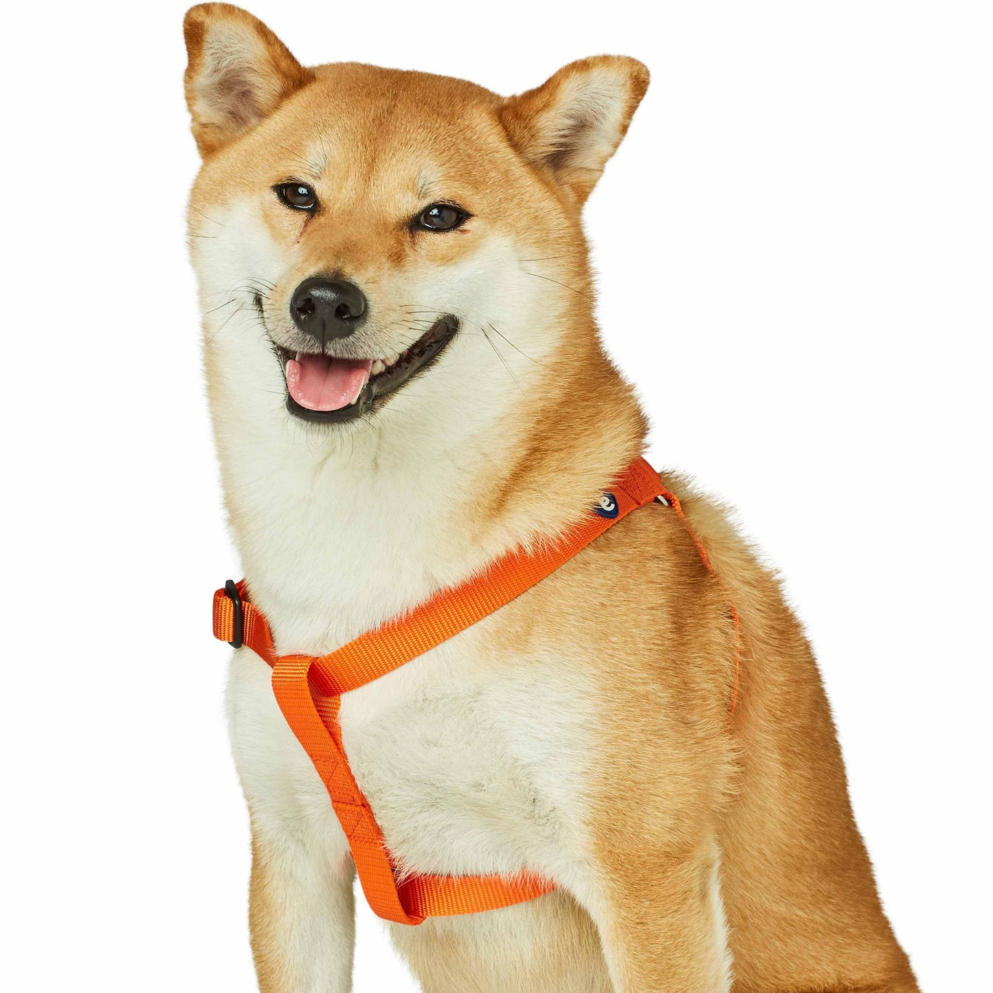 Classic Solid Color Adjustable Dog Harness, YellowOrange