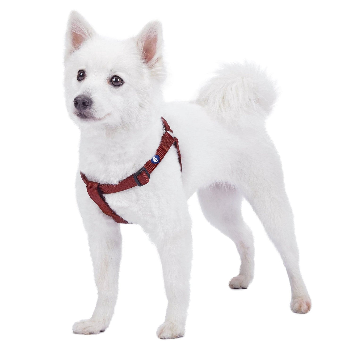 Classic Solid Color Adjustable Dog Harness, PinkRed