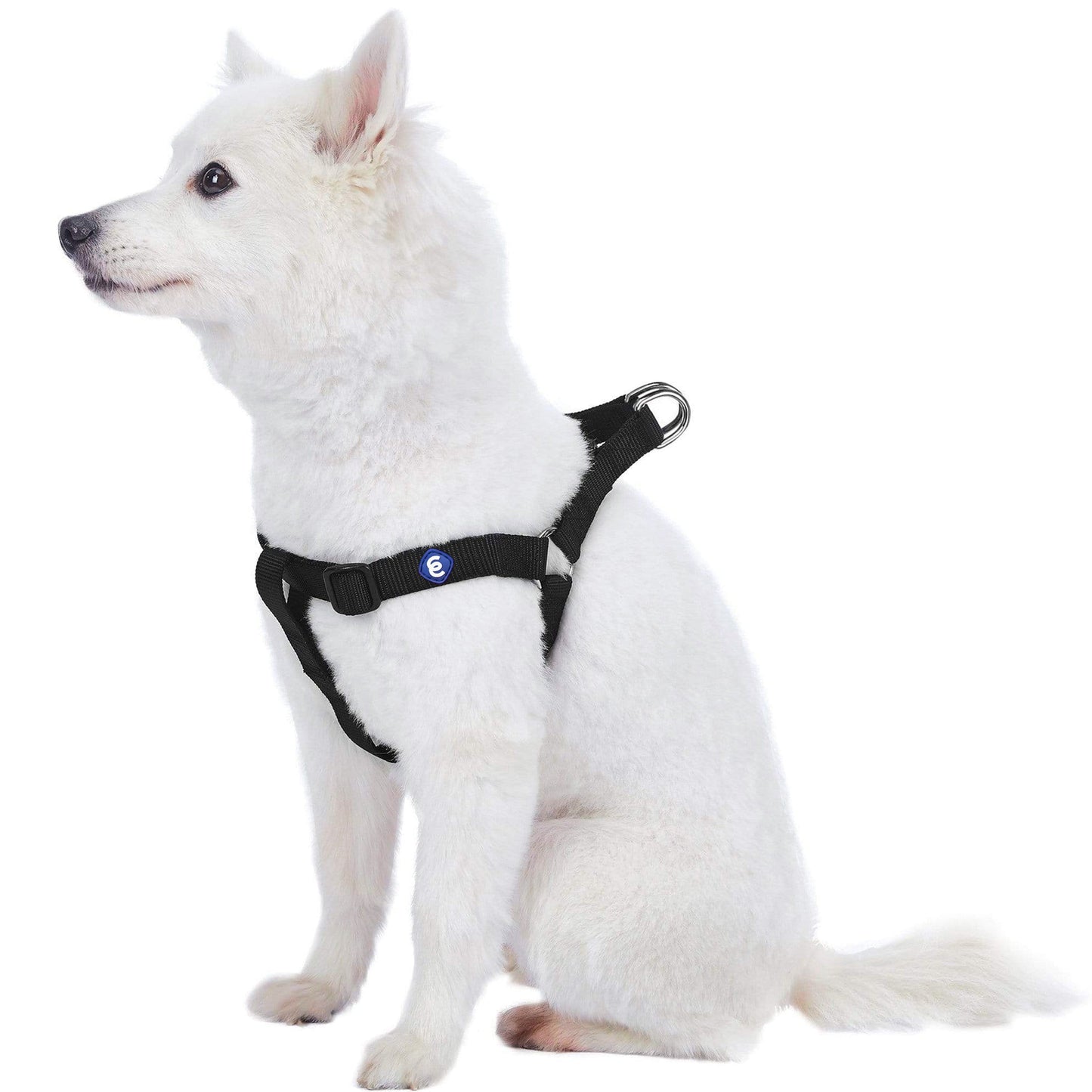 Classic Solid Color Adjustable Dog Harness, BlackGrey