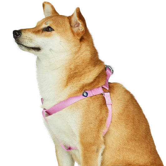 Classic Solid Color Adjustable Dog Harness, PinkRed