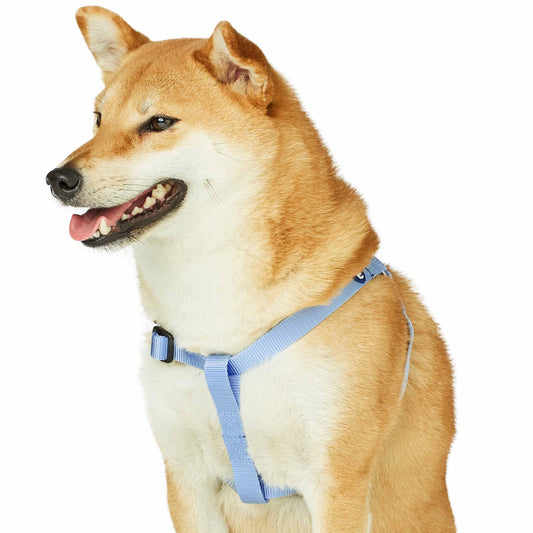 Classic Solid Color Adjustable Dog Harness, Blue